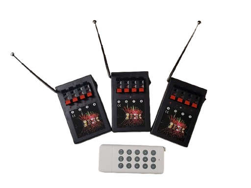 12 Cue Wireless Fireworks Firing System