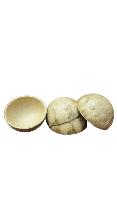 LIMITED Japanese 2 Inch  Paper Shells - 20 sets