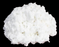 Nitrocellulose Solid